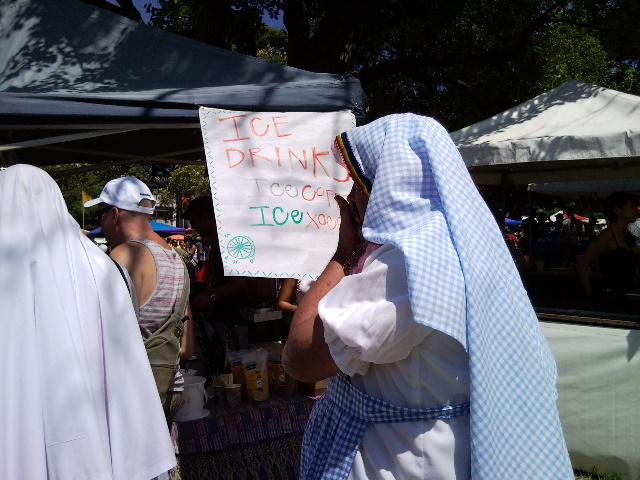 Fair Day & Mardi Gras Festival Launch 21/2/2010